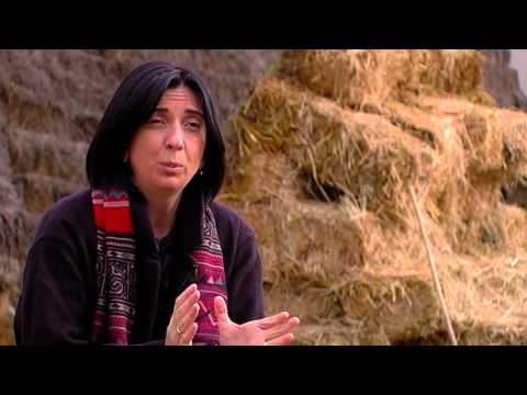 ჯორჯიან ბიზნეს ზონი - წნისის საწარმოთა კომპლექსი