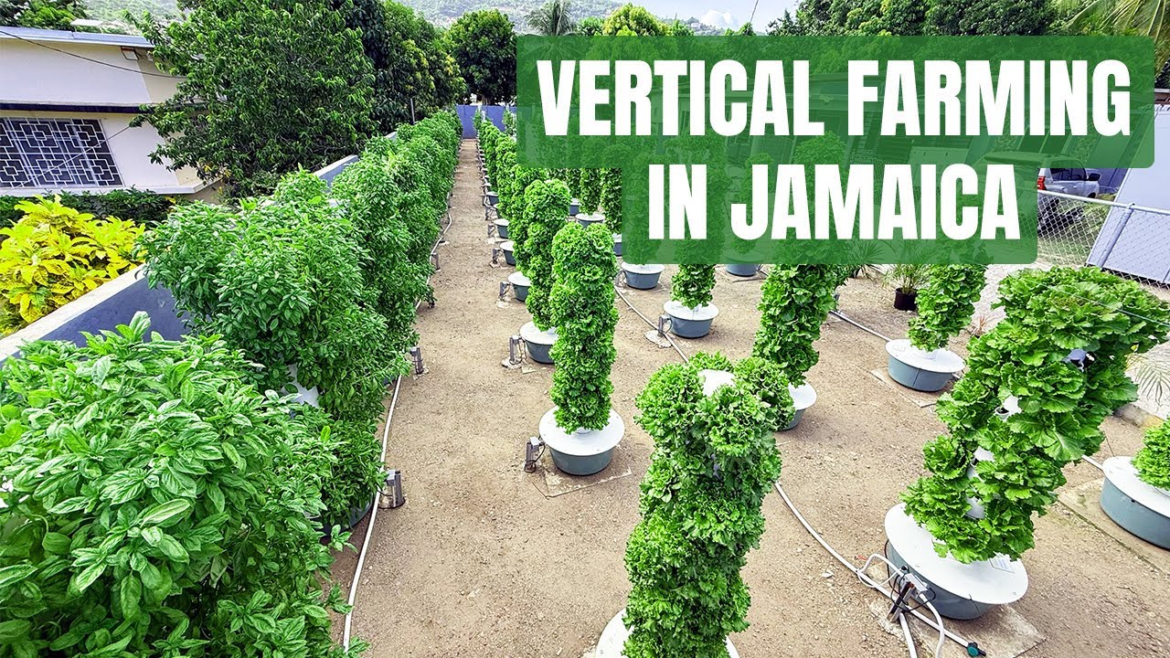 Vertical Farming | Tower Garden | Tower Farms | Aeroponics, image size:1280x720