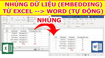 HƯỚNG DẪN NHÚNG DỮ LIỆU TỪ EXCEL SANG WORD, CẬP NHẬT DỮ LIỆU SAU KHI NHÚNG | EMBEDDING EXCEL TO WORD