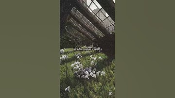 #قران_كريم #عبدالله_الموسى #تلاوة_هادئة
