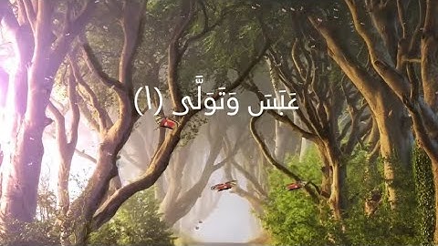 سورة عبس كاملة من جزء عم /بصوت عثمان مشعل حداد @superloly#قرآن_كريم 