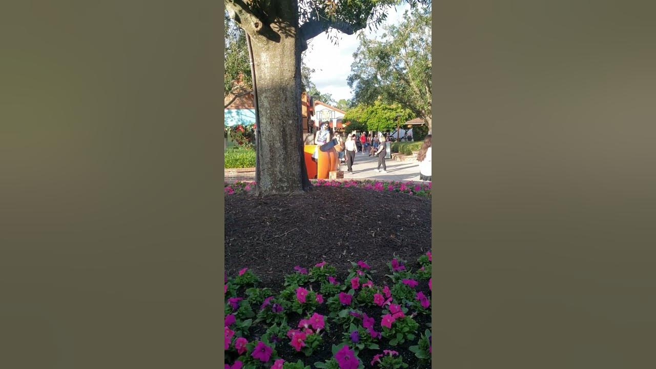 Pumpkin car at Disney Springs, Halloween 2024 YouTube