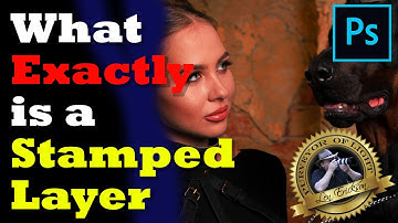 What exactly is a Stamped Visible Layer