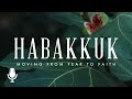 Habakkuk, Episode 5: Unexpected Answers