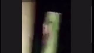 Inter Dimensional Beings Caught On Camera Feb11Th, Shar Your Thoughts On What Is It