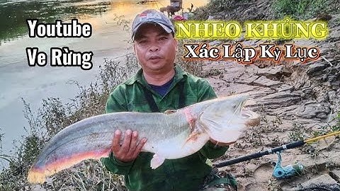 Câu CÁ NHEO KHỦNG NHẤT | Xác Lập Kỷ Lục Cá Nheo Trong Rừng