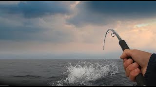 Bluefin tuna punctured my Boat. Bite in a jump by Алексей Никитцов 2,581,607 views 1 year ago 22 minutes