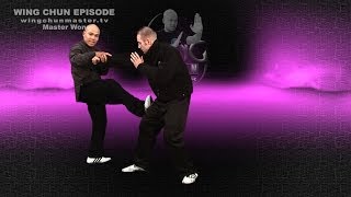 Wing Chun wing chun kung fu Basic Chum Kiu - Episode 6 screenshot 3