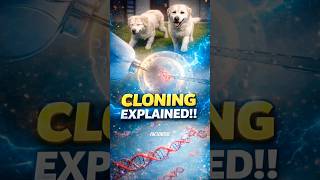 Cloning Explained 😱 How Scientists Create Life #ytshorts #shortsfeed #viralshorts #cloning #dog