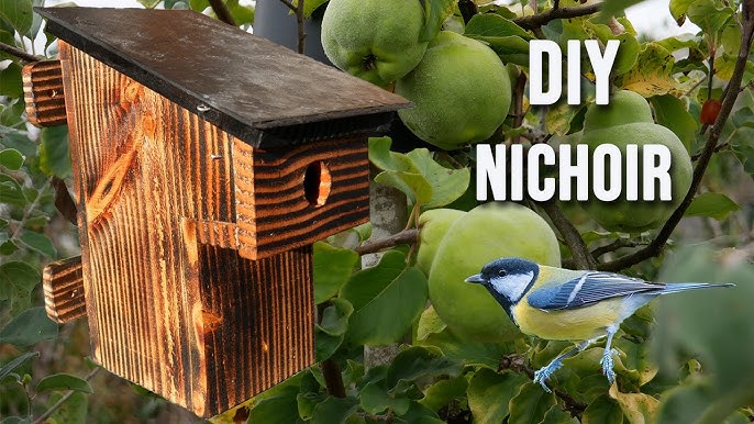 DIY : fabriquer des nichoirs à oiseaux