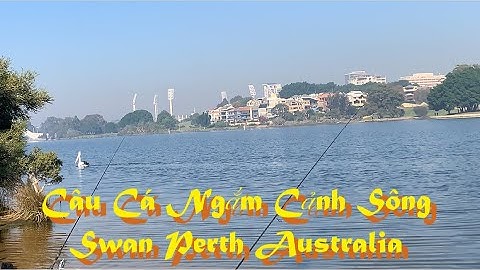Câu Cá Ngắm Cảnh Sông Swan Perth Tây Úc