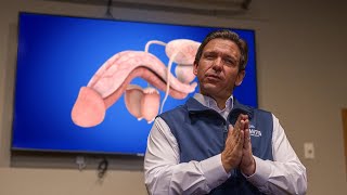 Florida Names Penis As Official State Genital by The Onion 51,747 views 3 months ago 1 minute, 42 seconds