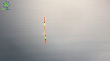 CHUYẾN ĐI CÂU CÁ TRÁP, CÁ HANH Ở BÌNH ĐẠI | PHAO NAY ĐẸP QUÁ ANH EM À