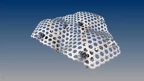 Triple Branching Tree Structure