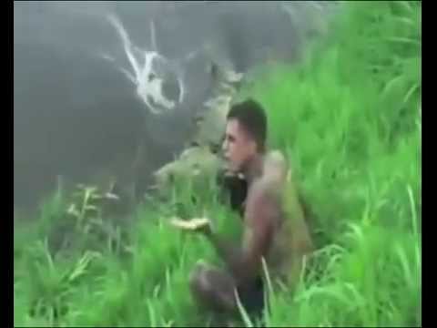 Video Lo chụp hình mém bị cá sấu ăn thịt - youtube