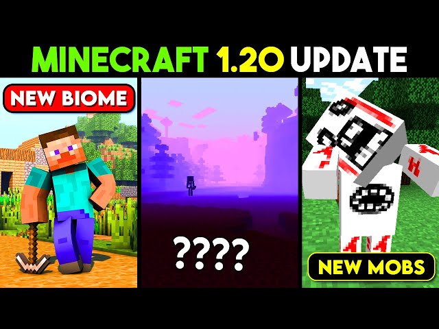 New Biome And Mobs! - Creating Minecraft 1.20 The End Update: Episode Six  ft. KINGshot1 