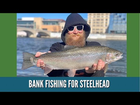 Bank Fishing For Steelhead / Steelhead Fishing Videos / Grand