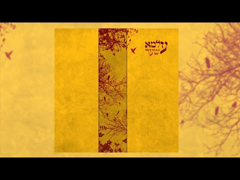 להקת עלמא מי לימד 