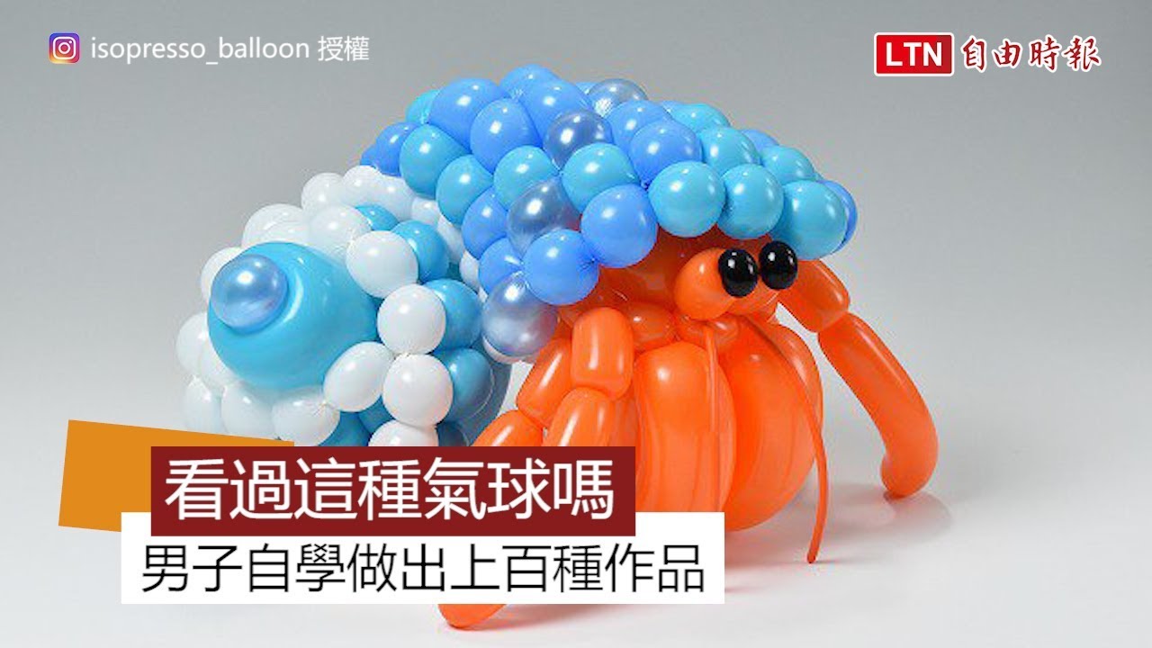 看過這麼精緻的氣球藝術嗎？　男子靠自學做出上百樣作品