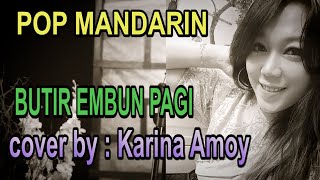 pop mandarin - butir embun pagi - cover by : Karina Amoy