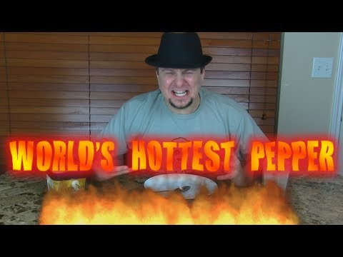 Hottest Pepper In The World - Trinidad Moruga Scorpion Hot Sauce CaJohns