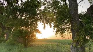 Sunset near Stromsburg, NebraskaSwede Capital of Nebraska #sunset