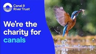 We're the charity for canals