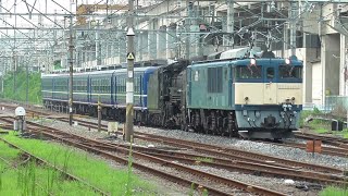 2024年 夏季 国鉄最後の新製電気機関車 EF64 1053 総集編 2024年7月~8月 撮影