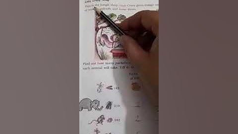 LAZY CRAZY SHOP MATH 😝