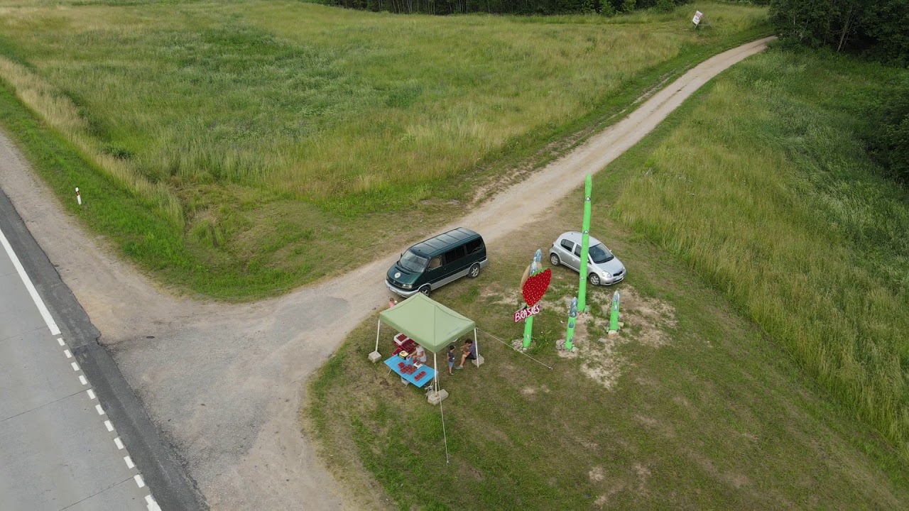 Sparagu Smidru daigai