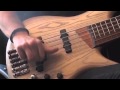 Ashula Bass Fretted Fretless Franck Hermanny Adagio