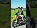 A cow is driving a bike enjoying the nature 😊 #ai #lifeisbutadream #edit #cat #aiadventures