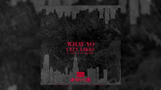 Lil Durk x Tee Grizzley  "What Yo City Like?" (Official Audio)
