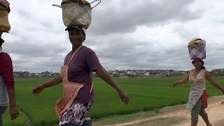 Découvrir Madagascar en 50 minutes !