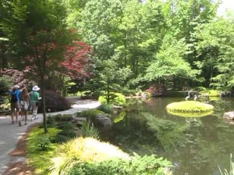 Garden,botanical gardens