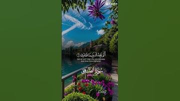 سوره الضحى# قران الكريم راحه نفسيه