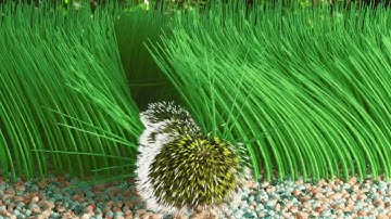 Houdini Mardini 2023: Day 11 Nature Grass