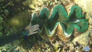 15 Second Science - Marine Protected Areas