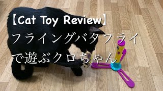 【Cat Toy review】猫のおもちゃレビュー：フライングバタフライで遊ぶクロちゃんです：Kuro-chan playing with the Flying Butterfly