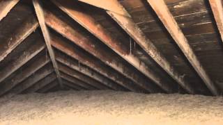 Before/After Attic Mold Removal Frankfort, IL (Attic Mold Remediation)