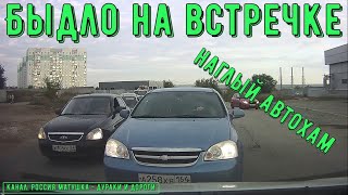 Быдло на встречке #175! Подборка на видеорегистратор!