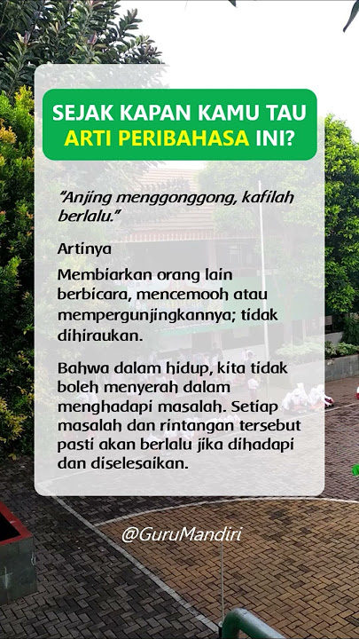 Peribahasa Indonesia : Anjing menggonggong kafilah berlalu