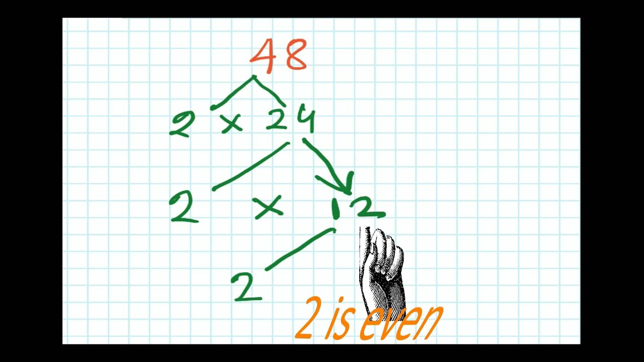 Definition--Factors and Multiples--Factor Tree