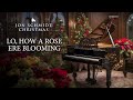 Lo, How A Rose Ere Blooming (Jon Schmidt Christmas) The Piano Guys