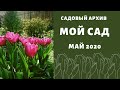 Обзор сада в мае 2020