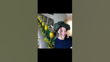 Wie Zou Dit kunnen Zijn? (@) 😝😂 #geld #bankbiljet #vals #stino #stijnsaman #mandarijnnu #fy #fyp