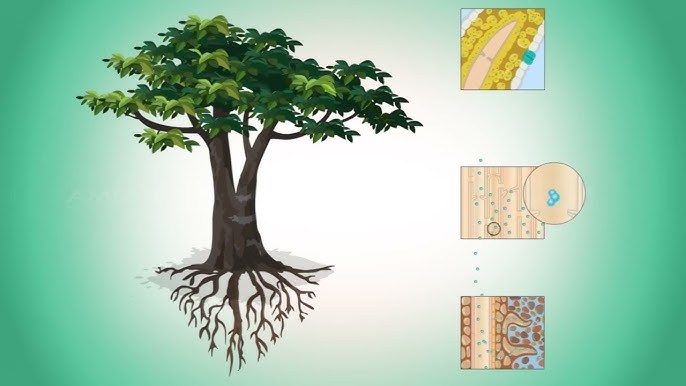 Көпшілікке куннилингус жасауға мәжбүр болды Жалаңаш қыздардың үйдегі суреттері