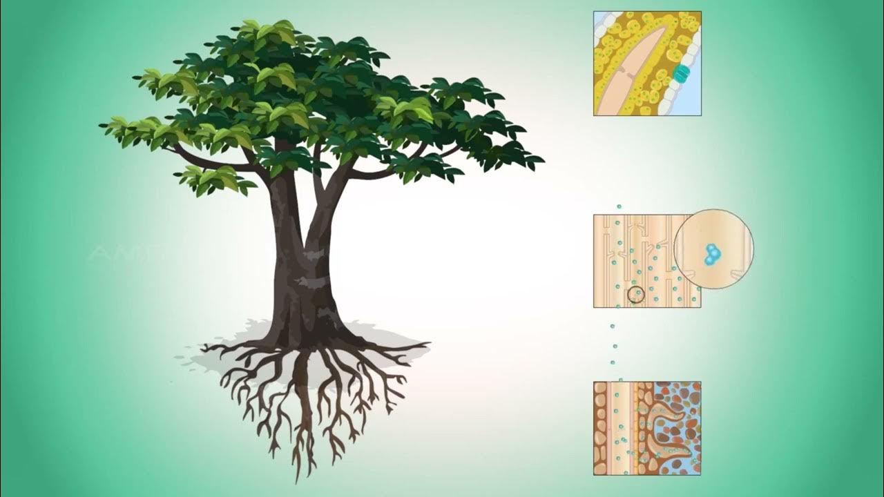 Күйеу бала мен қайын енесі әйелімен