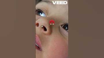 How an Apple Changed Science Forever! 🌍