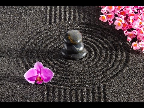 6 Hour Zen Music: Deep Meditation, Chakra Music, Relaxation Music, Background Music, Relaxing ☯2148